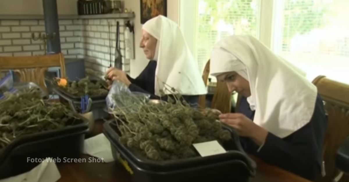 Un grupo de mujeres vestidas como monjas se reúne en México para celebrar rituales en honor a la marihuana