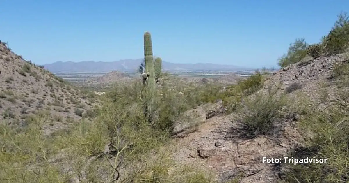 Policía de Goodyear, Estados Unidos, pidió ayuda a la comunidad para identificar a un hombre