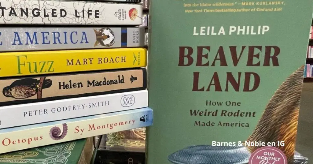 La lucha de los empleados de Barnes & Noble es un reflejo del movimiento más amplio en Estados Unidos