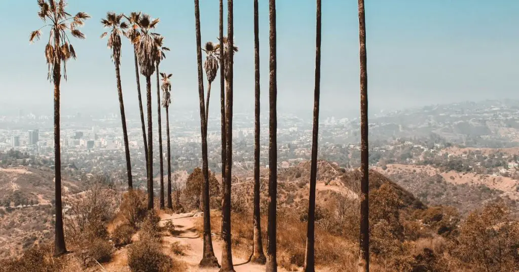 Estados Unidos podría tener un verano muy caluroso, con una sequía significativa y altas probabilidades de grandes huracanes