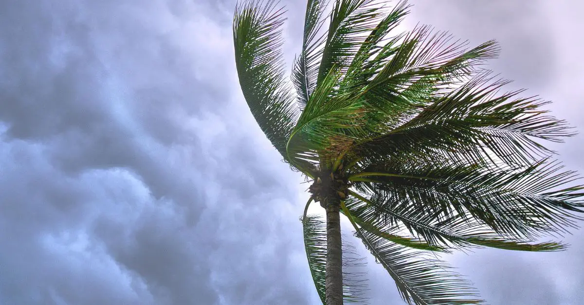 El Centro Nacional de Huracanes de Estados Unidos alertó sobre un sistema tropical en el océano Atlántico, que podría convertirse en tormenta