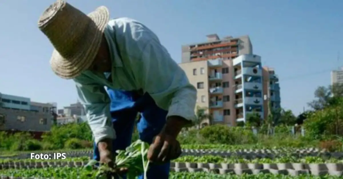 Las noticias de Cuba en redes sociales se pueden resumir con tres términos: hambre, precariedad y cansancio