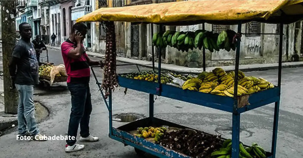 En las noticias de Cuba, recientes informes han planteado un panorama incierto para estas entidades y otras formas de trabajo autónomo