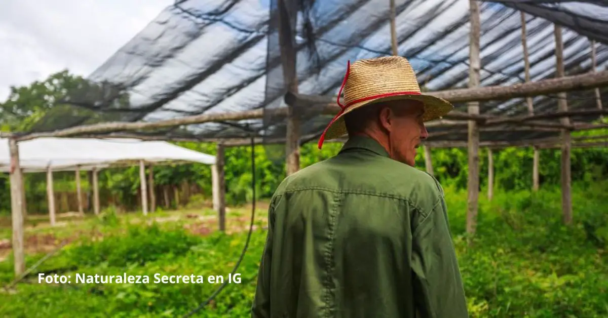 El Decreto 105, aprobado por el gobierno cubano, ha generado una gran preocupación entre los agricultores, según las noticias de Cuba