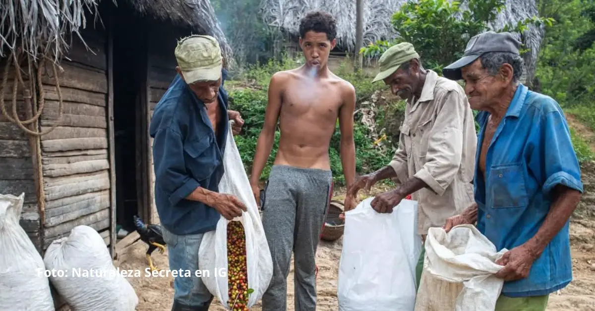 La economía del país sufre un descenso sin freno y así lo reflejan las noticias de Cuba